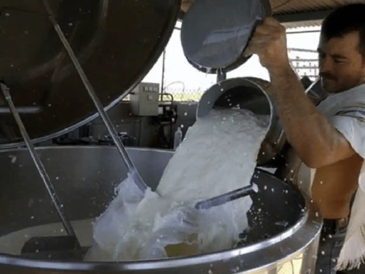 La producción de leche disminuyó en dos millones de litros diarios por las inundaciones