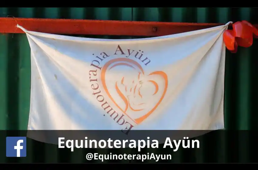 La equinoterapia y el gran avance que ayuda a diferentes patologías