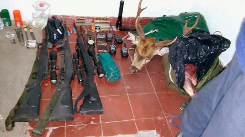 Cazadores furtivos se deshicieron de restos de ciervos y armas en la huida