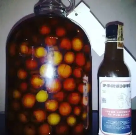 Ponsigué, típica bebida artesanal venezolana