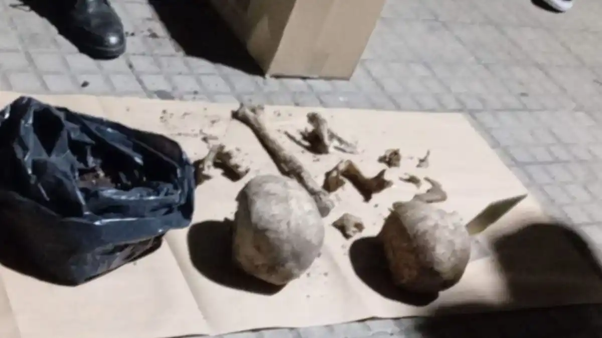Cavaron para colocar plantas en el patio y encontraron cráneos enterrados