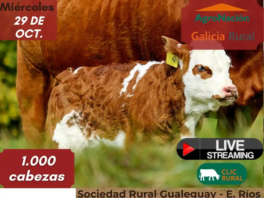 Buenas expectativas para el  próximo remate