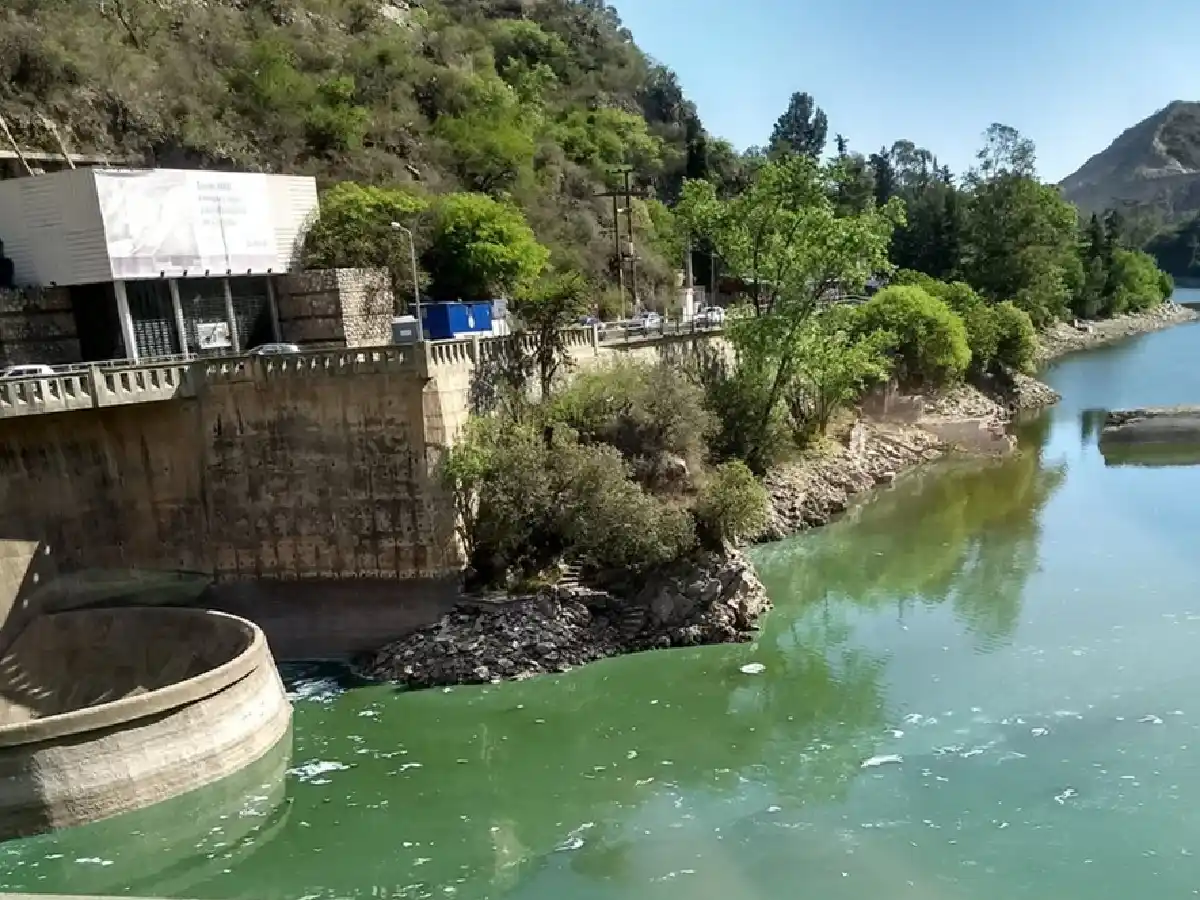 Las algas volvieron a cubrir de un manto verde al lago San Roque