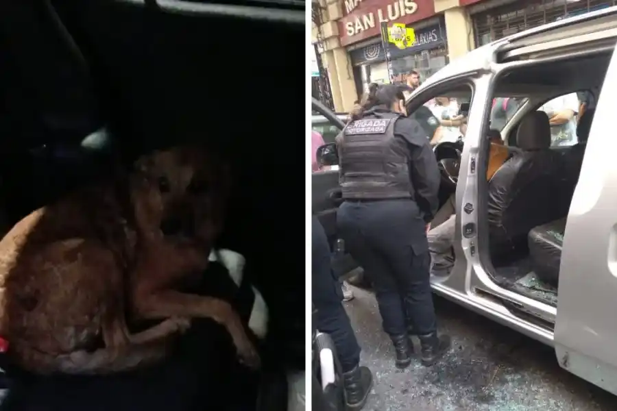 Dejaron a otro perro encerrado en un auto en Rosario, pero esta la policía rompió el vidrio para rescatarlo