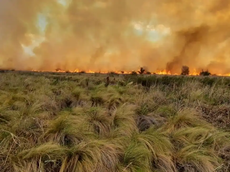 Alerta por riesgo alto de incendios en Córdoba por las altas temperaturas.