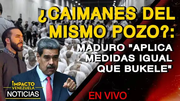 ¿CAIMANES DEL MISMO POZO? Maduro «aplica medidas igual que Bukele» – VIDEO