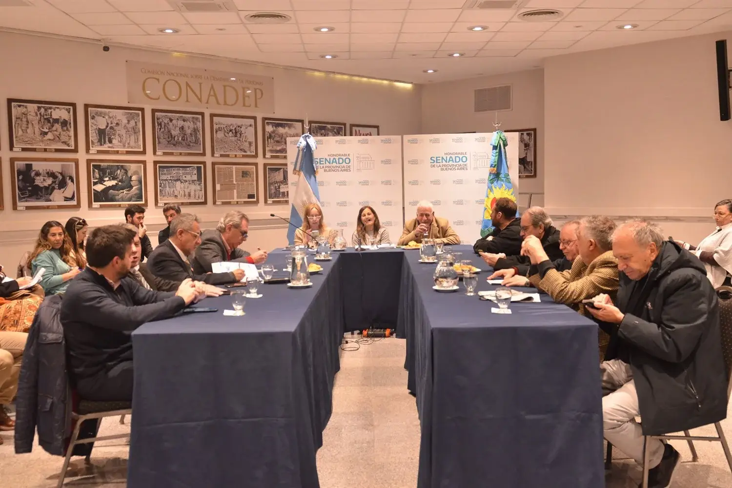 Comercios y pymes bonaerenses expusieron su situación ante el Senado: alertaron por caída del consumo y cierres
