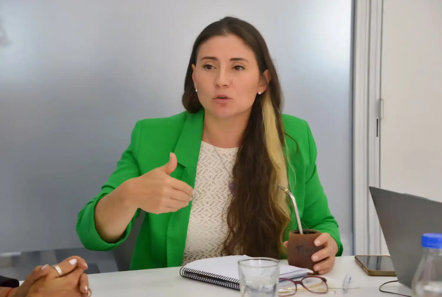 Laura Delgado, subsecretaria de Minería de la provincia de Buenos Aires, dialogó con El Eco de Tandil.
