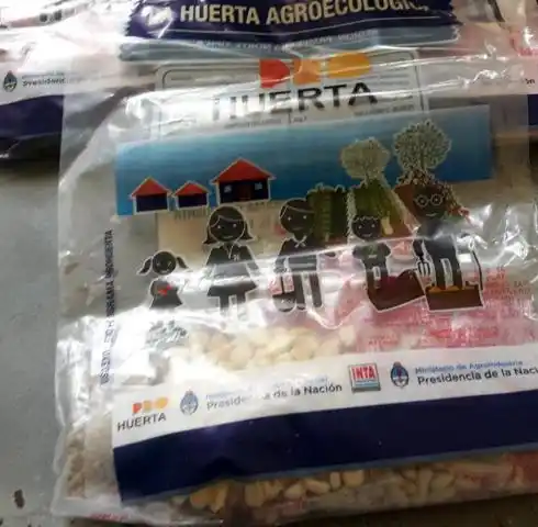 Llegaron las semillas Pro Huerta