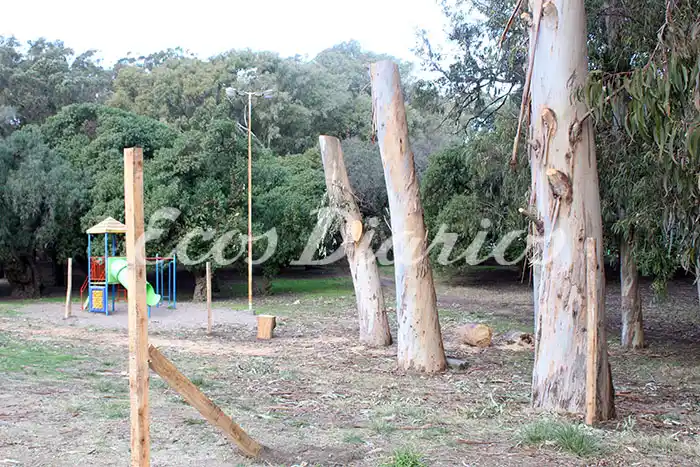 Concejales aprobarán el nuevo reglamento de edificación