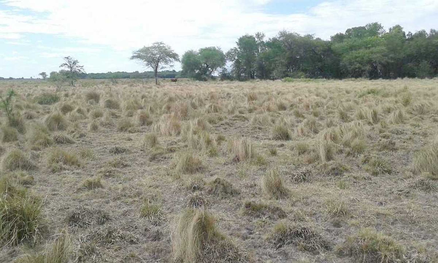 Llamado a audiencia pública por el cambio de 
uso de suelo en el establecimiento Santa Rita