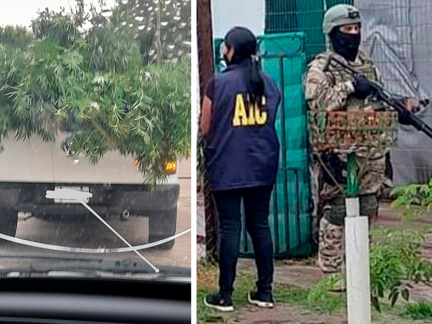 Estación Frontera: lo allanaron por una amenaza y encontraron una plantación de marihuana