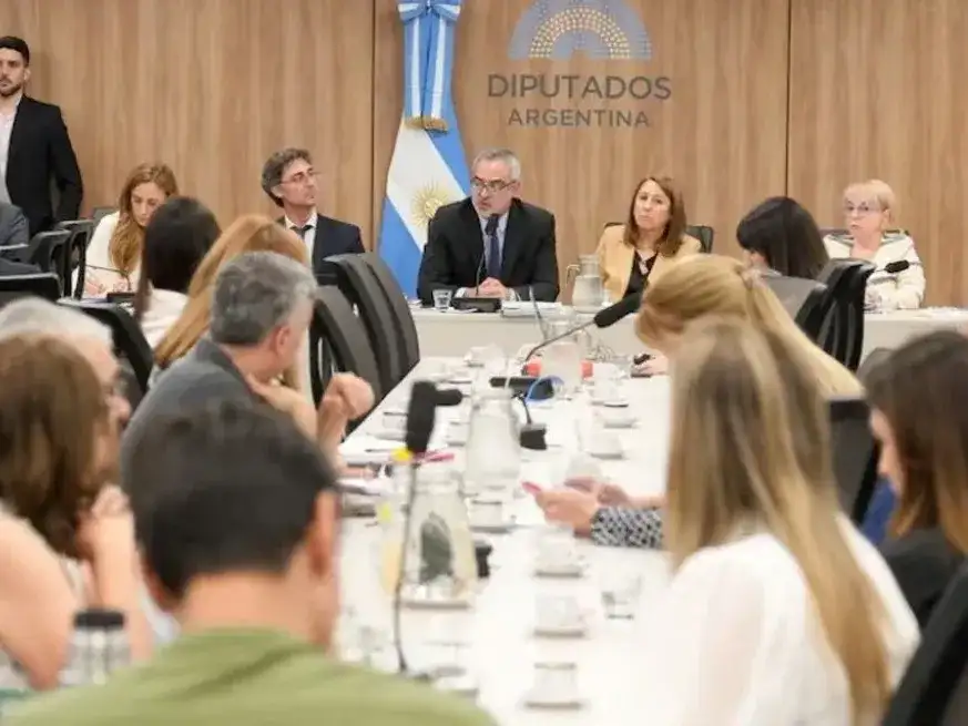 El juez federal Ernesto Kreplak está a cargo de causa por las muertes y secuelas derivadas del uso de fentanilo contaminado. El año pasado expuso en la comisión investigadora de Diputados. Foto: Archivo