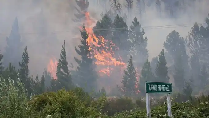La región patagónica enfrenta múltiples incendios forestales.