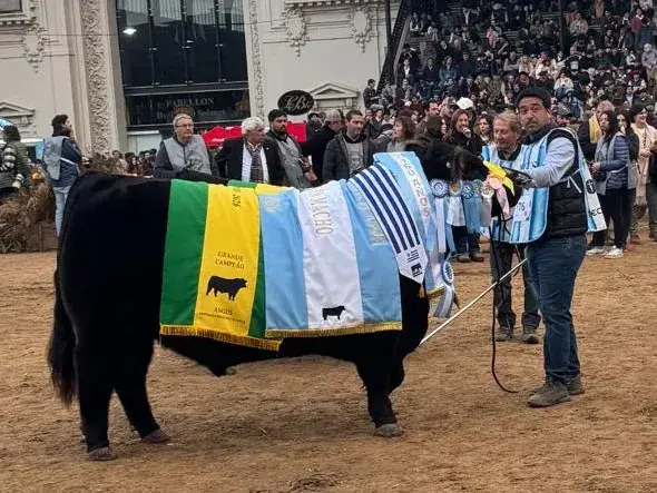 Ricardo Bastía, el cabañero detrás de Rip, el Gran Campeón Macho de Cabaña Don José