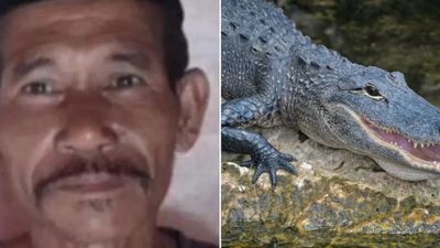 Indonesia: un cocodrilo atacó y mató a un hombre que se bañaba con su familia