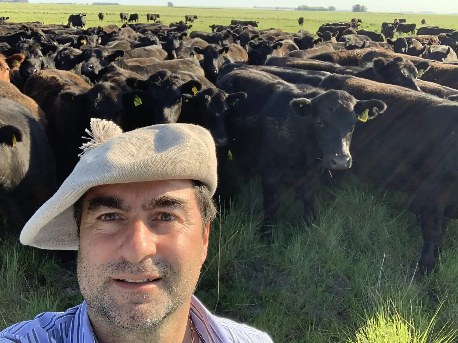 “El único que tiene boom de renta en este momento es el criador”