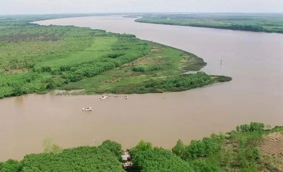 Informe alertó sobre la contaminación del río Paraná con glifosato