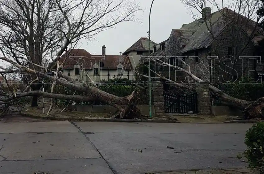 Por alerta meteorológico, suspenden las clases en Tandil
