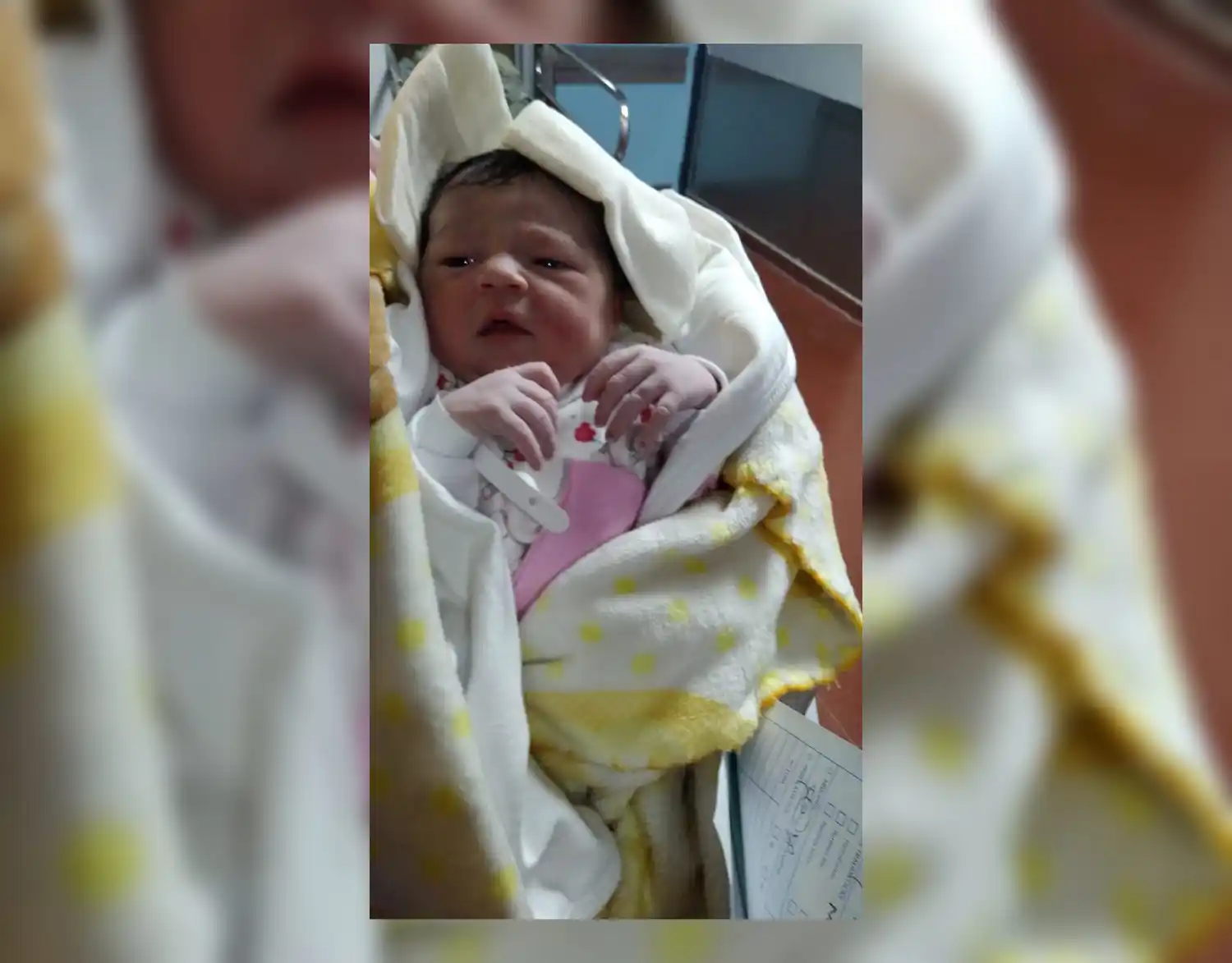 Bienvenida, Renata Casco