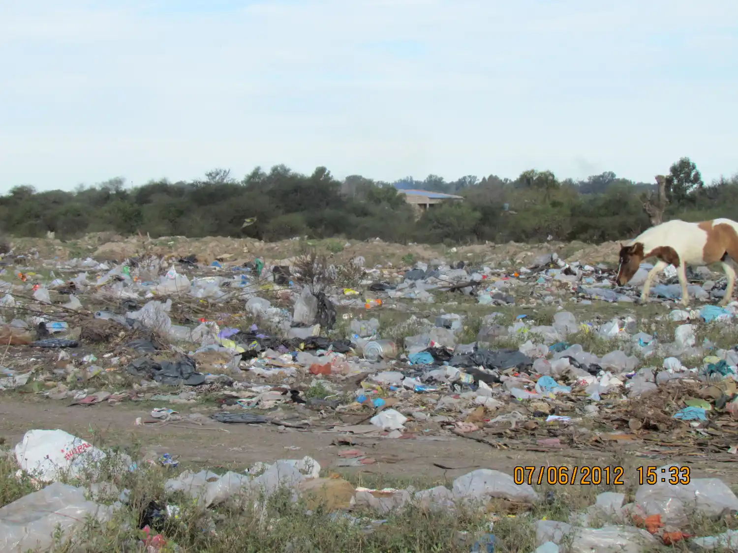 En 2012 limpiaron 180 microbasurales en Gualeguaychú