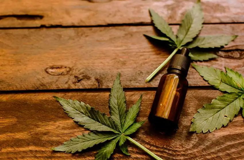 Los beneficios de usar aceite de CBD para bajar de peso