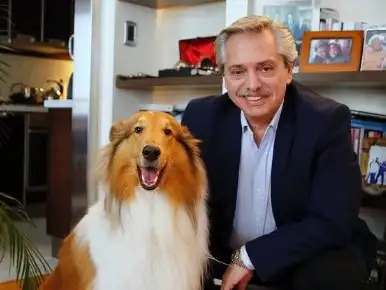 Murió Dylan, el perro de Alberto Fernández