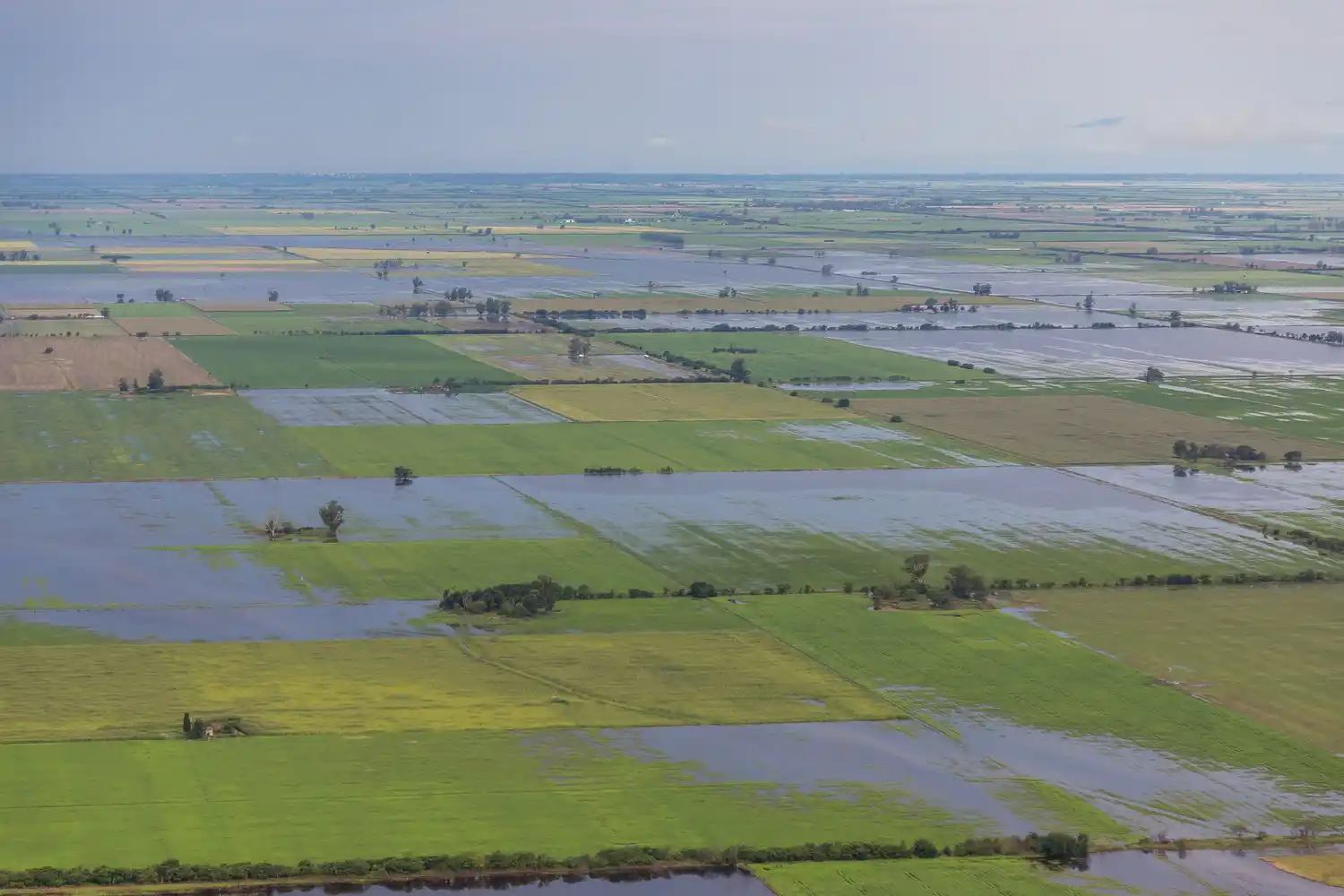 Estiman en U$S700 millones las pérdidas en el sector agrícola