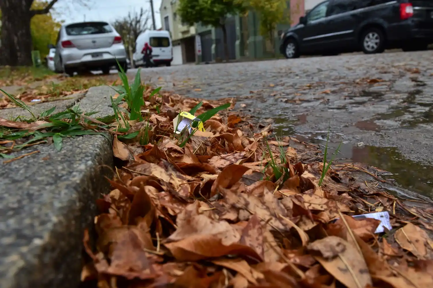 El otoño se presenta con frío esta semana.
