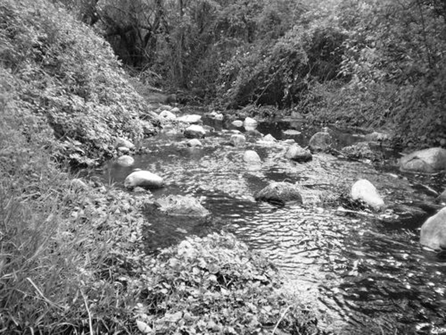 El crimen de un viajante en el arroyo “El Perdido”