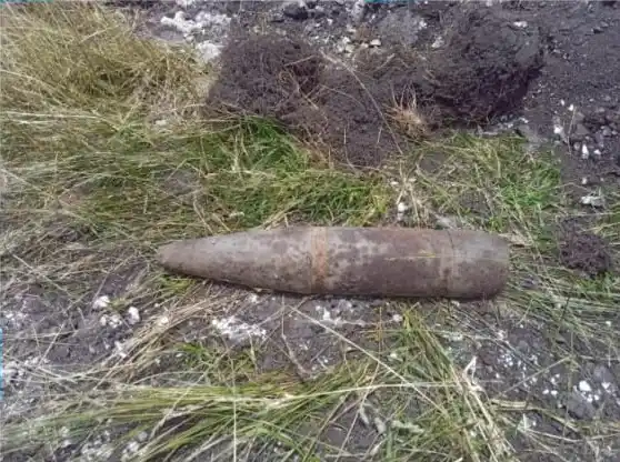El hallazgo se produjo en un predio ubicado en Campos y Peñasco.