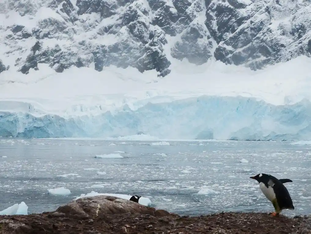 Terremotos en aguas profundas impulsan floraciones de plancton en la Antártida