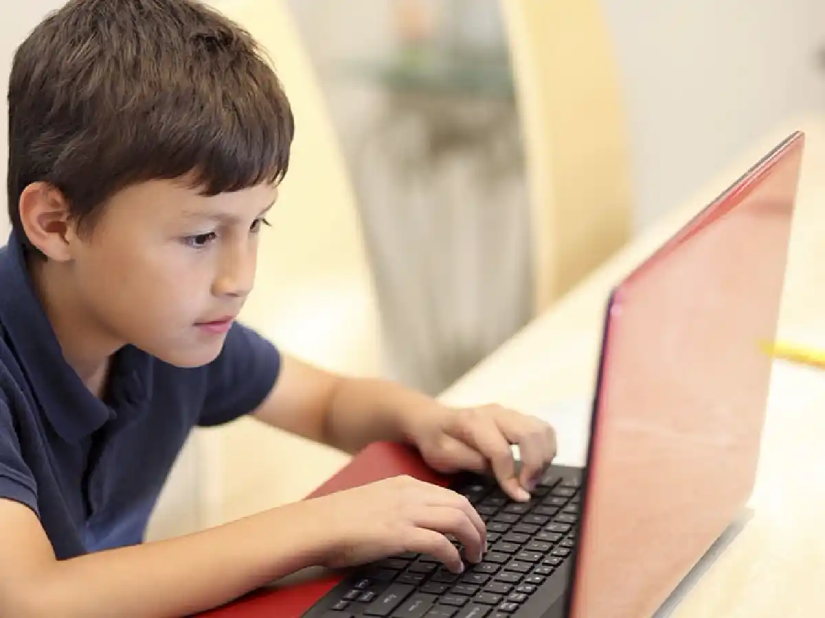 Los puntos claves de la ley de educación a distancia