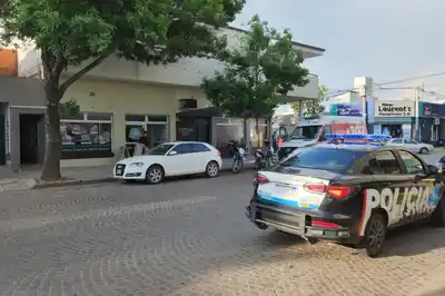 Perros asesinos: un Pitbull mordió a una mujer y le provocó graves heridas