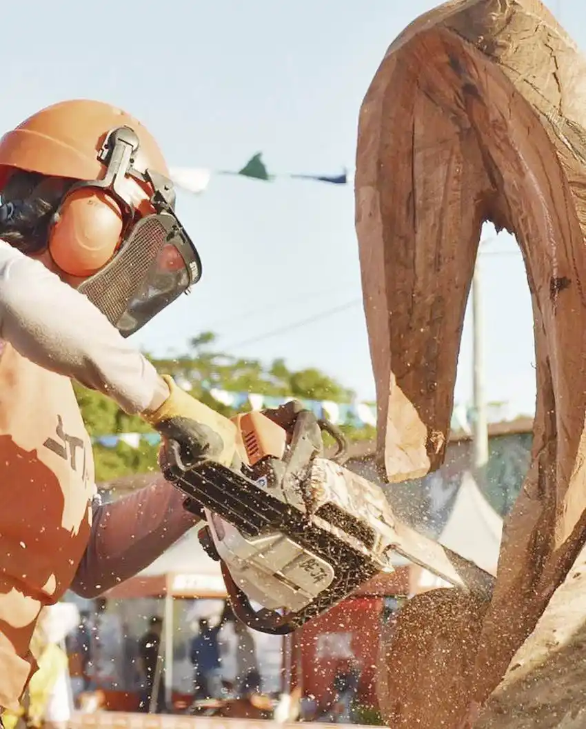 Todos los ganadores del Campeonato nacional 
del tallado en madera con motosierra