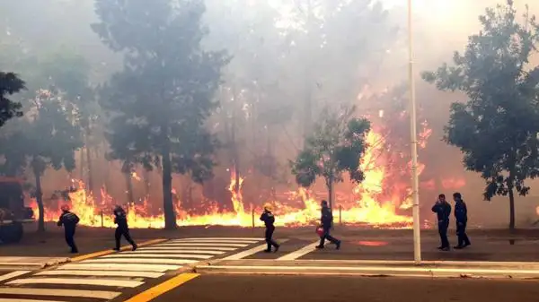 La Costa en llamas: envían aviones hidrantes para combatir el incendio 