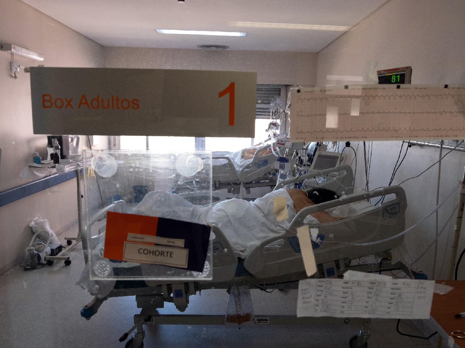 Dos millones de casos y 50 mil muertes por coronavirus: lo que se aprendió y los desafíos