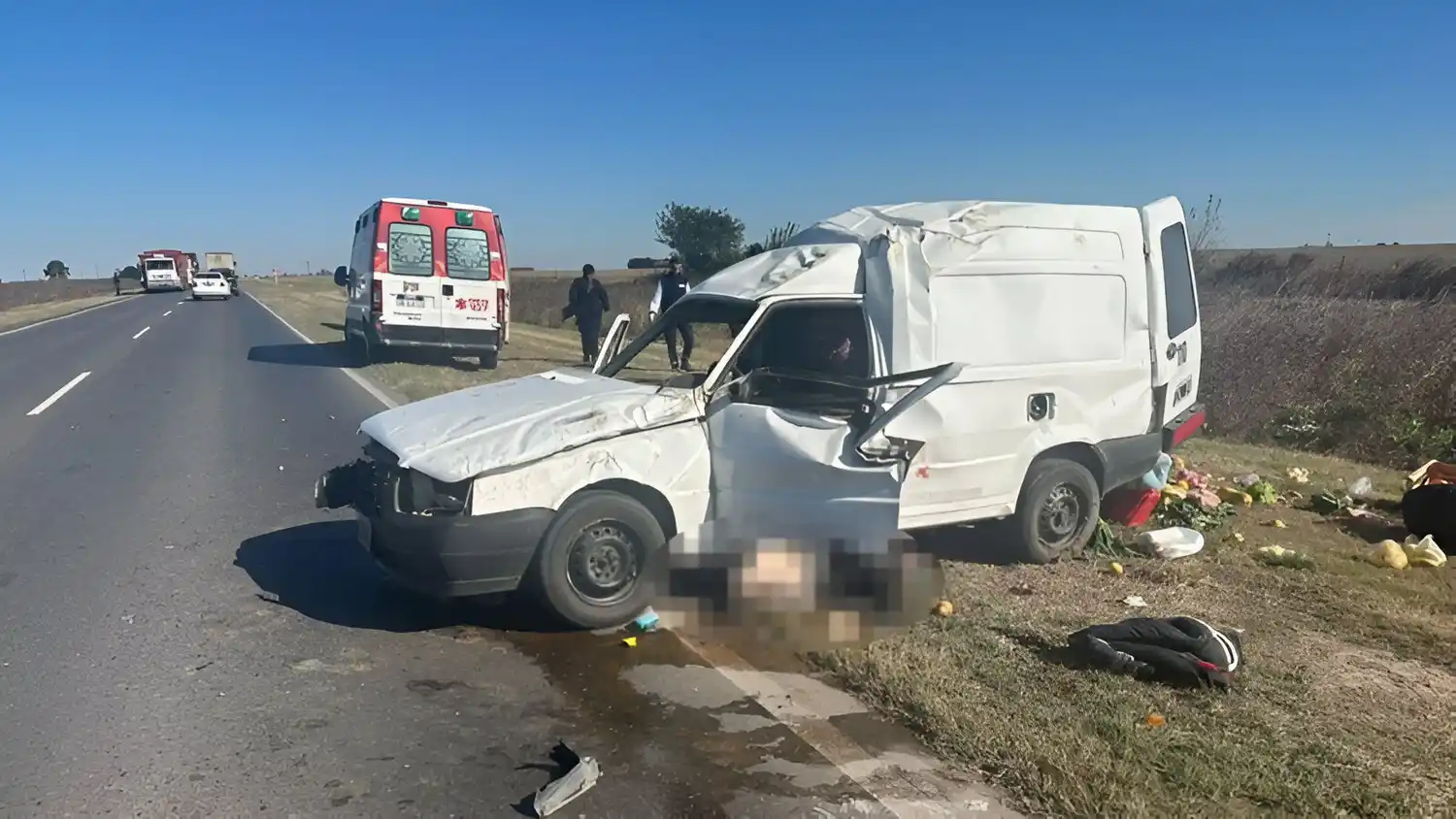 La camioneta Fiat Fiorino que guiaba Marcelo Trezzini sobre la Ruta 14.