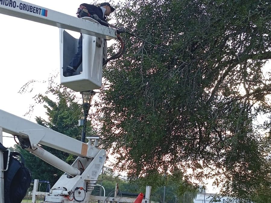limpiezas calles