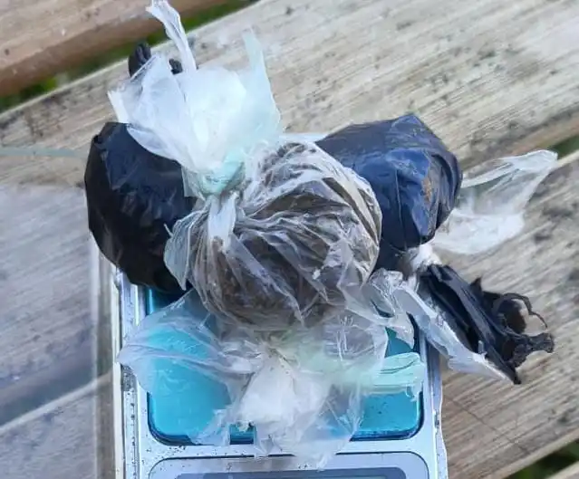 Allanamientos positivos en barrio Capricornio: secuestran droga y detienen a cinco personas