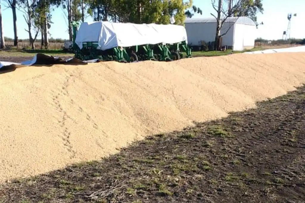 Inseguridad rural: la Sociedad Rural de Rosario exigió que se actúe para esclarecer los delitos