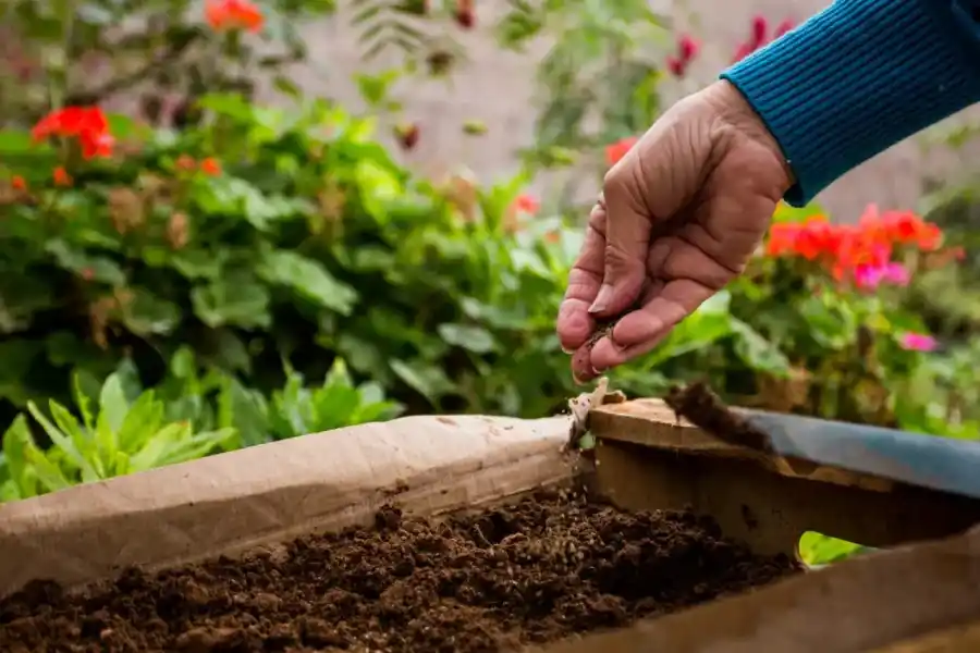 Entrega de semillas para la temporada primavera-verano