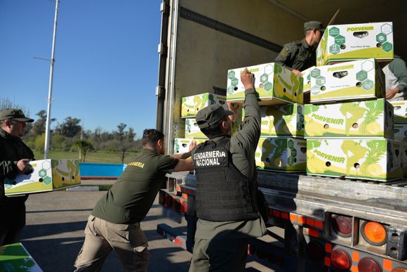 Incautaron 444 kilos de cocaína camuflada en bananas: Hay cuatro sospechosos detenidos