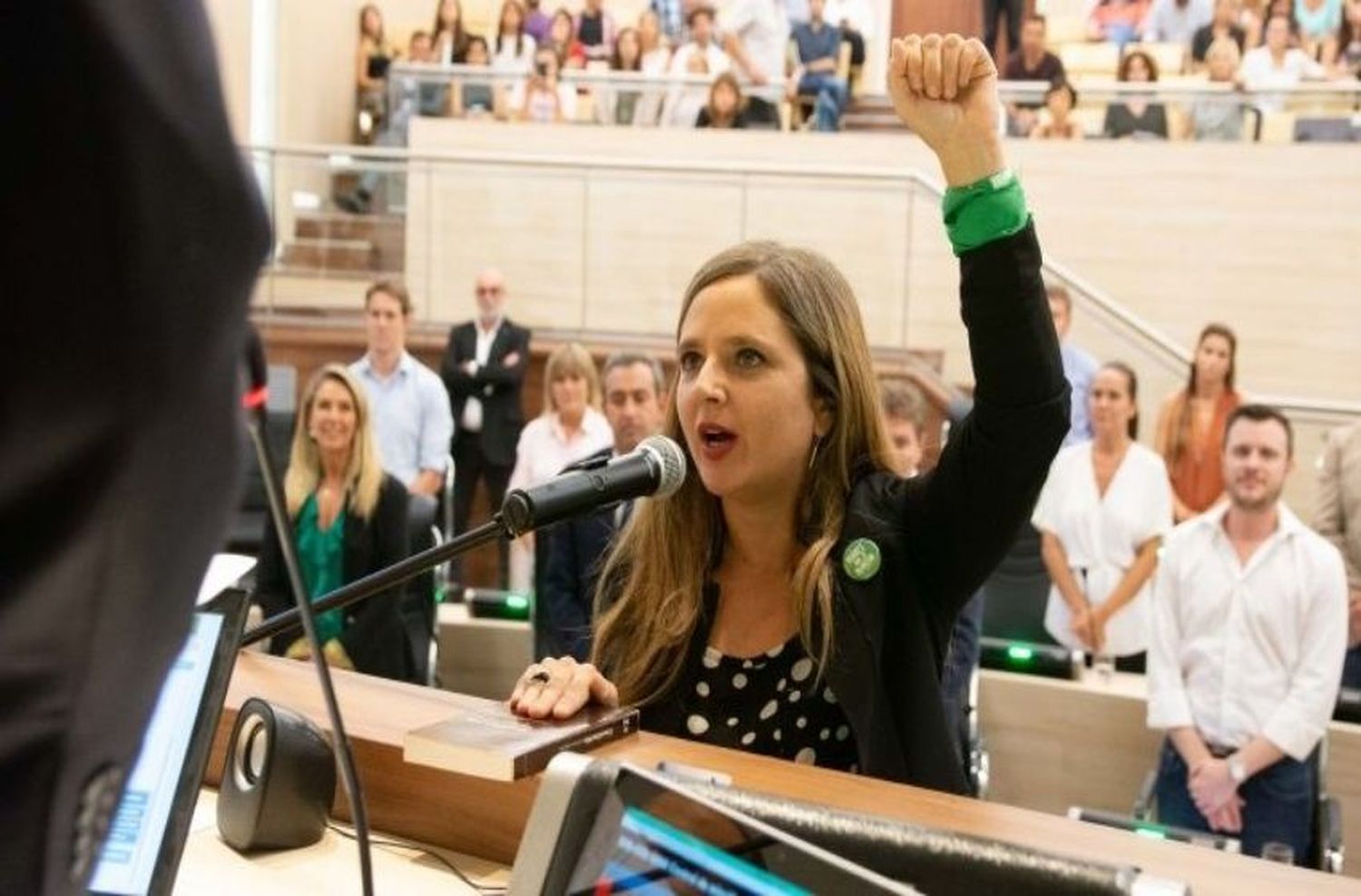 Jesica Pellegrini asumió su banca en lugar de Trasante
