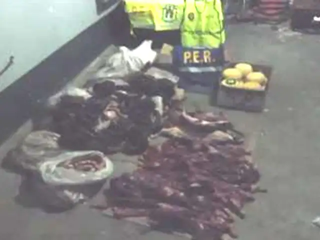 Decomisaron nutrias, pescados y embutidos