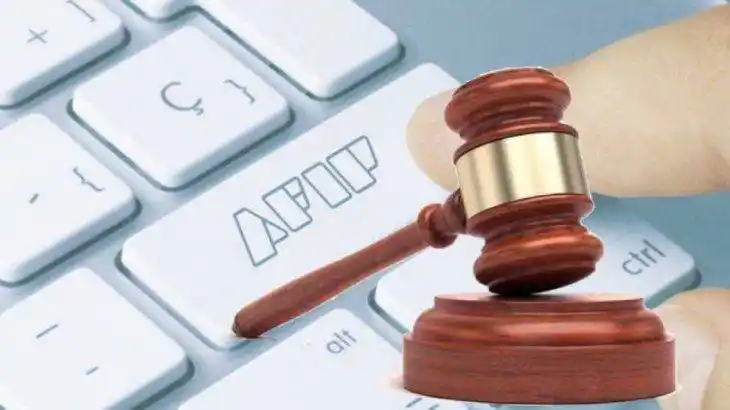 AFIP subasta electrónica: cuáles son los productos y cómo participar del remate