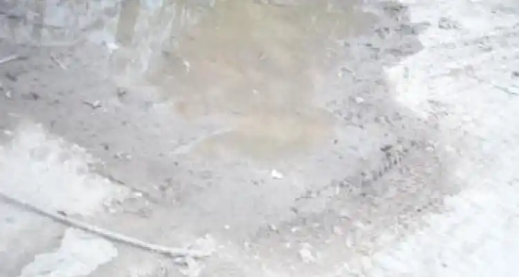 El Bache de cada semana