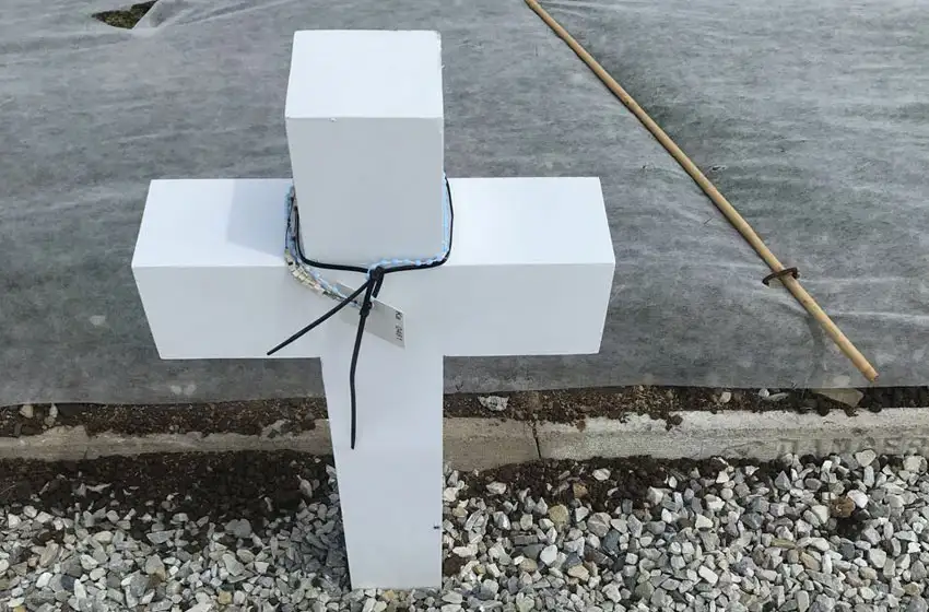Malvinas: el proyecto de identificación se volvió realidad en 2017
