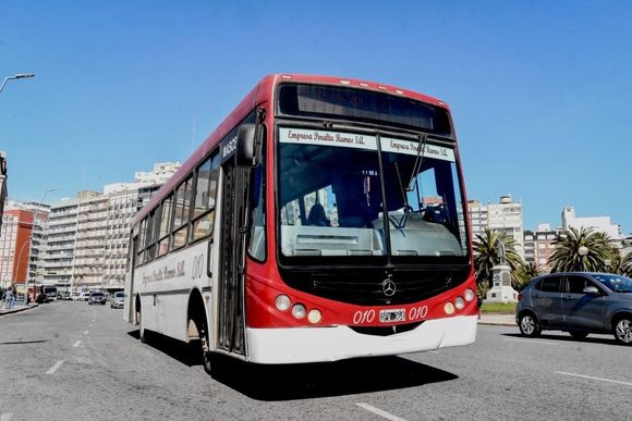 Elecciones: La Justicia ordenó que los colectivos sean gratuitos en General Pueyrredón pero Montenegro se niega