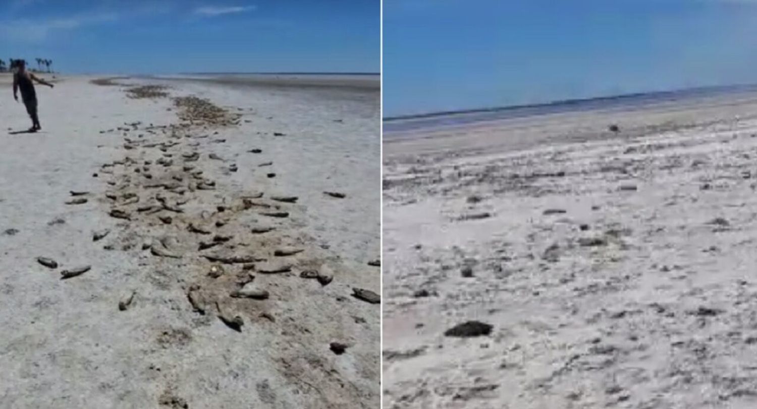 Dramática situación por la falta de lluvias en el norte: se secó la Laguna “El Bonete”